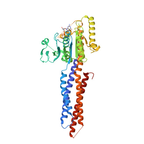 RCSB PDB - 5GNT: BDLP-like folding of Mitofusin 1