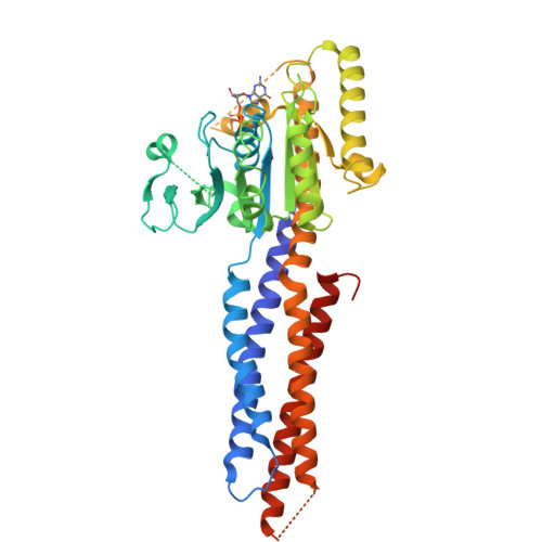 RCSB PDB - 5GNT: BDLP-like folding of Mitofusin 1