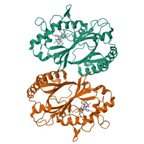 Deoxy.Hb'ページ RCSB PDB - 5GT2: Crystal Structure and Biochemical Features of dye