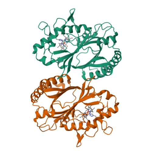RCSB PDB - 5GT2: Crystal Structure and Biochemical Features of dye