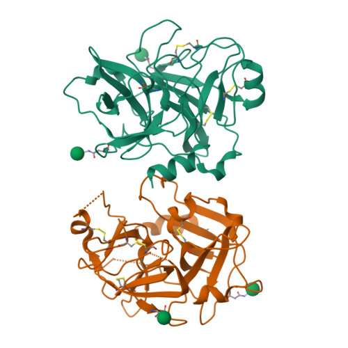 Plasma kallikrein structure