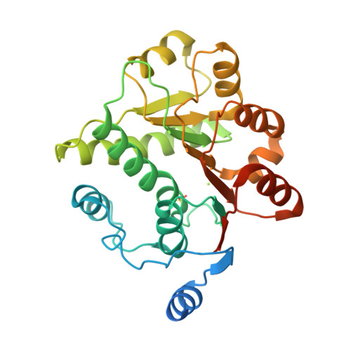 RCSB PDB - 5H1Y: Crystal structure of the DDX41 DEAD domain in complex ...