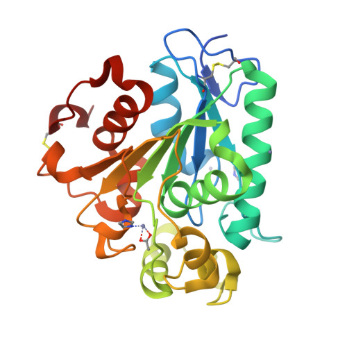 RCSB PDB - 5H6B: Crystal structure of a thermostable lipase from