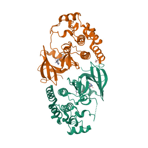 RCSB PDB - 5HID: BRAF Kinase domain b3aC loop deletion mutant in ...