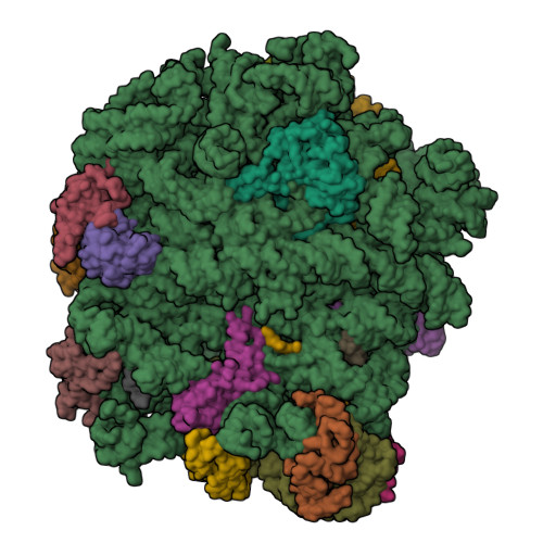 RCSB PDB - 5HL7: The crystal structure of the large
