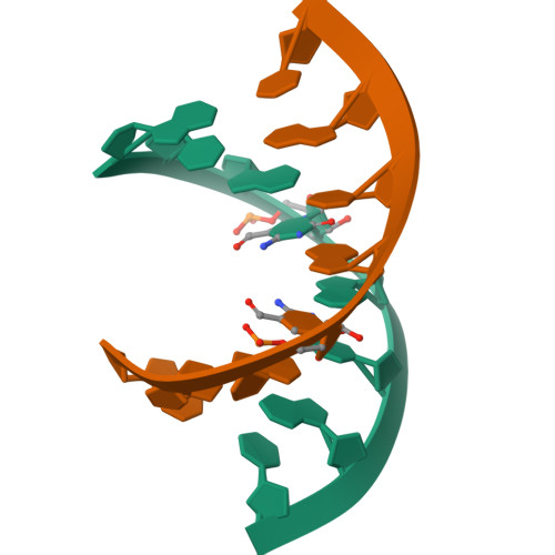 rna structure animation