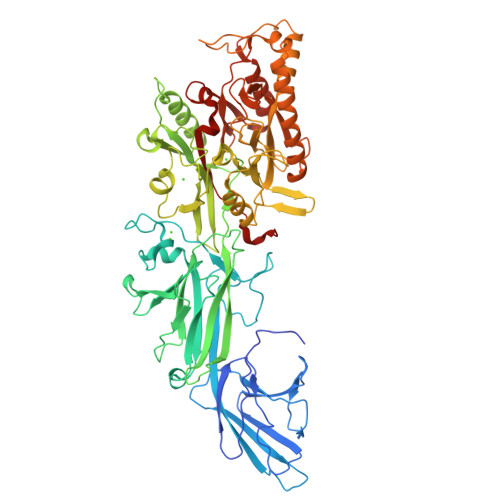 Protein-arginine deiminase type-1 structure