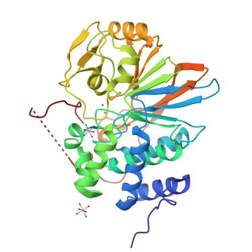 RCSB PDB - 5HPE: Phosphatase domain of PP5 bound to a phosphomimetic ...