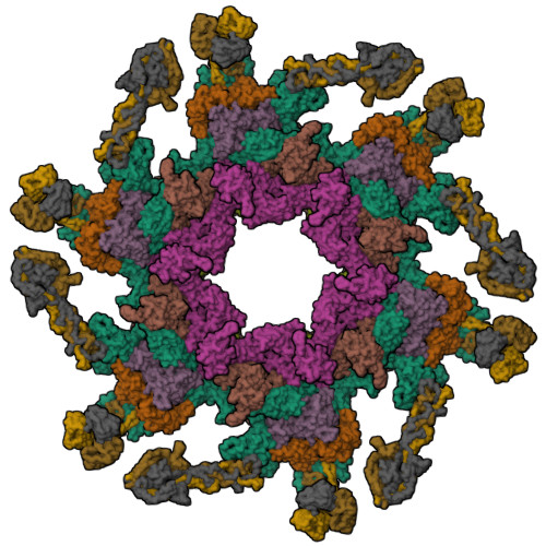 EMD-8064 (RSCB PDB 5HX2) T4 baseplate protein has similar