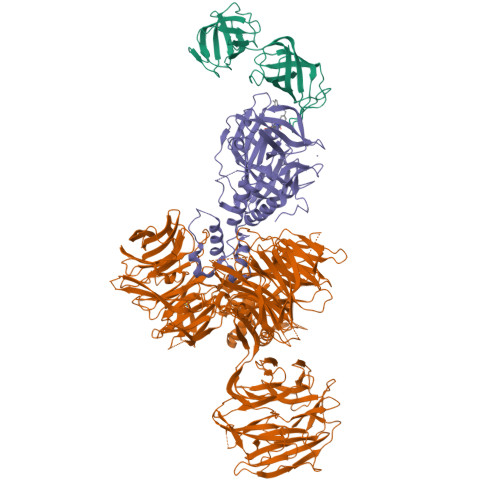CNPOrangeBud 0.5ml最高品質 CRDP CRDH104 コスパ最強T_Lex リキッド # crdp crd cbp CBD CBN
