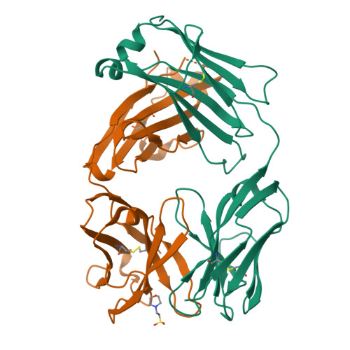 RCSB PDB - 5I15: CRYSTAL STRUCTURE OF HUMAN GERMLINE ANTIBODY IGHV1-69 ...