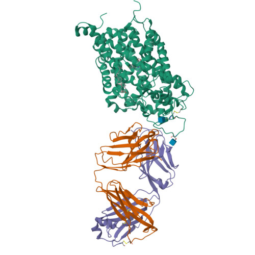 Rcsb Pdb I X X Ray Structure Of The Ts Human Serotonin Transporter Complexed With