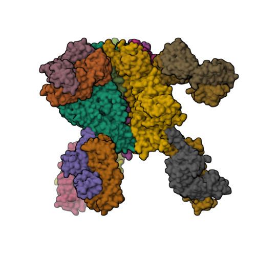 RCSB PDB - 5I8H: Crystal Structure of HIV-1 BG505 SOSIP.664 