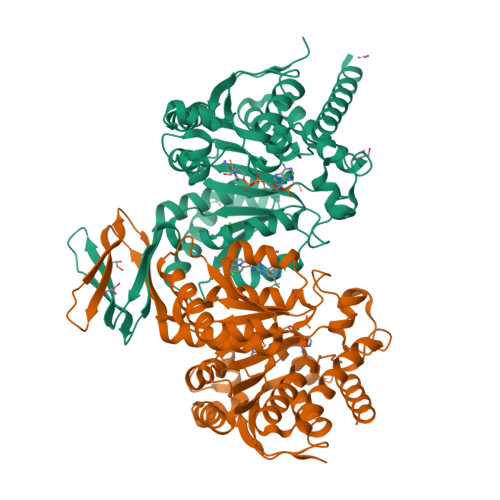 5I96: Crystal Structure of Human Mitochondrial Isocitrate Dehydrogenase  (IDH2) R140Q Mutant Homodimer in Complex with AG-221 (Enasidenib)  Inhibitor. - RCSB PDB