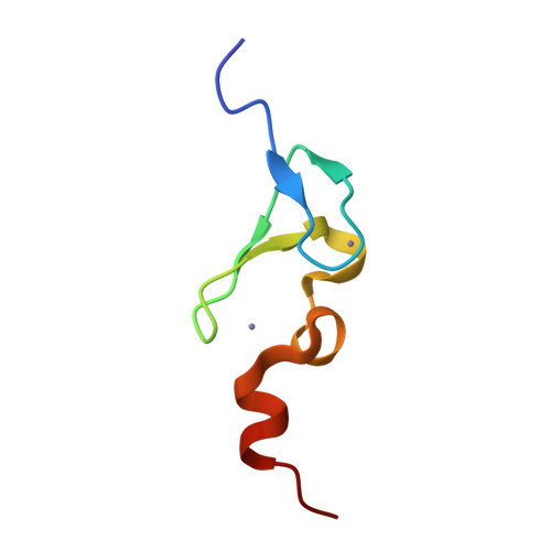 RCSB PDB 5IJ4 Solution structure of AN1type zinc finger domain from Cuz1 (Cdc48 associated