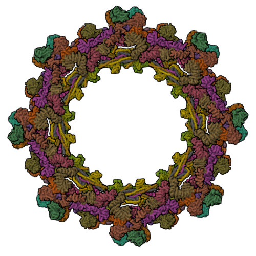 PDB 5IJN