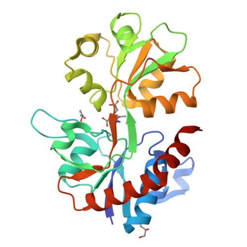 RCSB PDB - 5IKB: Crystal structure of the kainate receptor GluK4 ligand ...