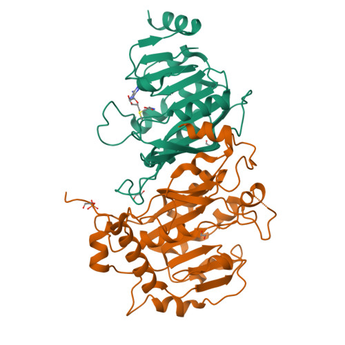 Journal of Biochemical and Molecular Toxicology: Early View