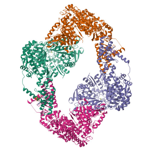 RCSB PDB - 5IM3: Crystal Structure Of The Class I Ribonucleotide ...