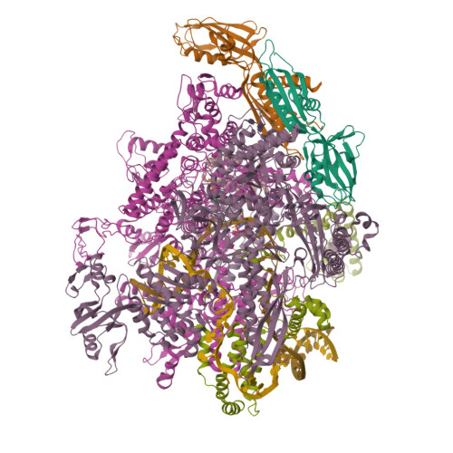 PDB:5IPL