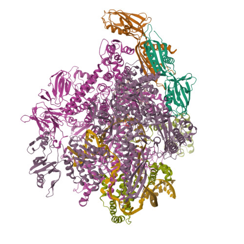 PDB:5IPM