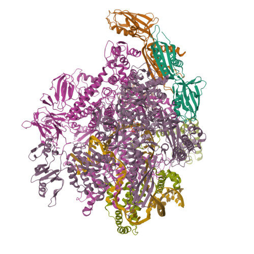 PDB:5IPN