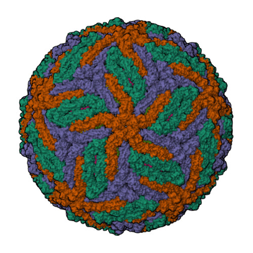 La estructura crio-ME del virus Zika http://www.rcsb.org/structure/5IRE