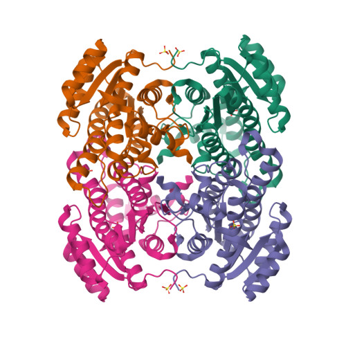 RCSB PDB - 5ITW: Crystal structure of Bacillus subtilis BacC ...