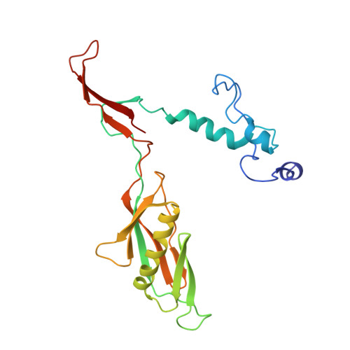 EMD-8064 (RSCB PDB 5HX2) T4 baseplate protein has similar