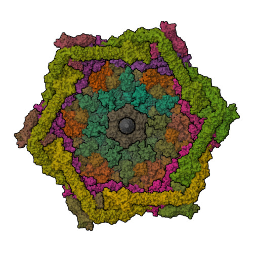 EMD-8064 (RSCB PDB 5HX2) T4 baseplate protein has similar