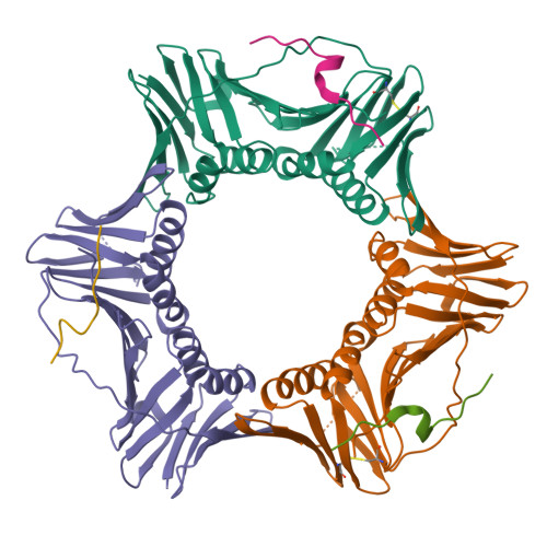 PDB 5IY4