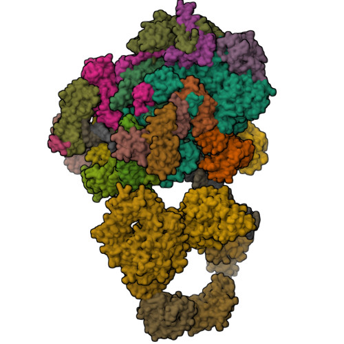 PDB 5IY6