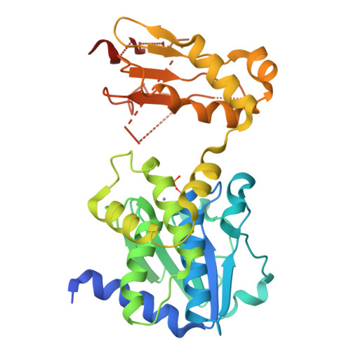 RCSB PDB - 5IZO: Bacillus NanoRNase A (H103A) + 2 divalent cations ...