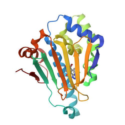 RCSB PDB - 5J2X: Crystal Structure of Hsp90-alpha N-domain in complex ...