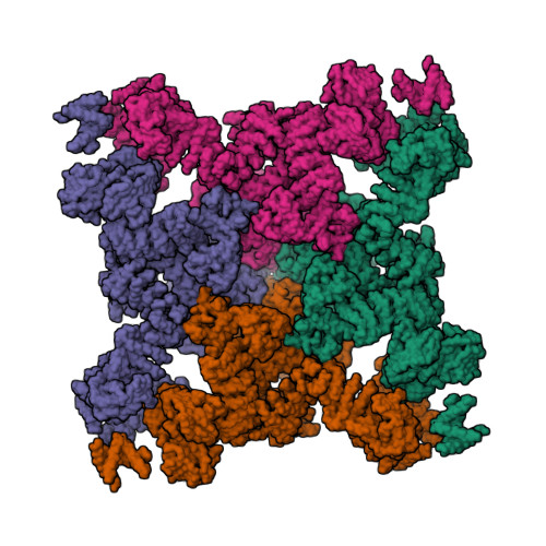 RCSB PDB - 5J8V: Structure of rabbit ryanodine receptor RyR1 open
