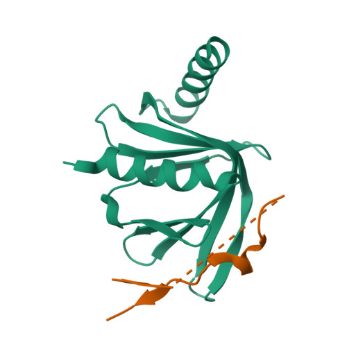 RCSB PDB - 5JP4: Crystal structure of S. pombe Dcp1 in complex with the ...