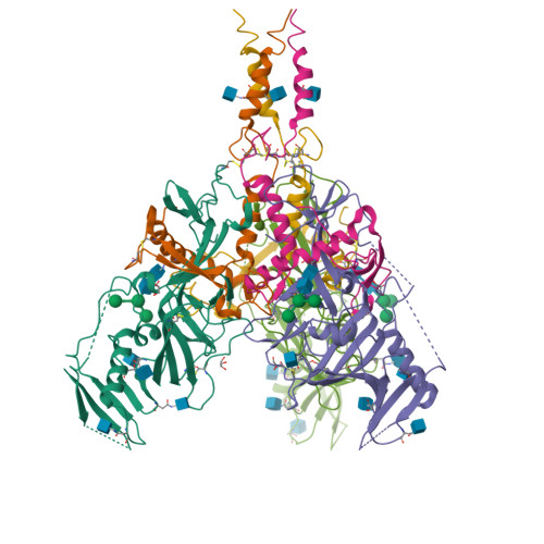 RCSB PDB - 5JQ3: Crystal Structure Of Ebola Glycoprotein