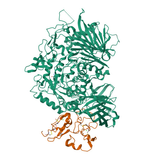 RCSB PDB - 5JQP: Crystal structure of ER glucosidase II heterodimeric ...