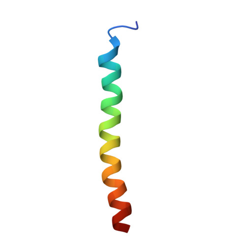 Sodium channel protein type 4 subunit alpha structure