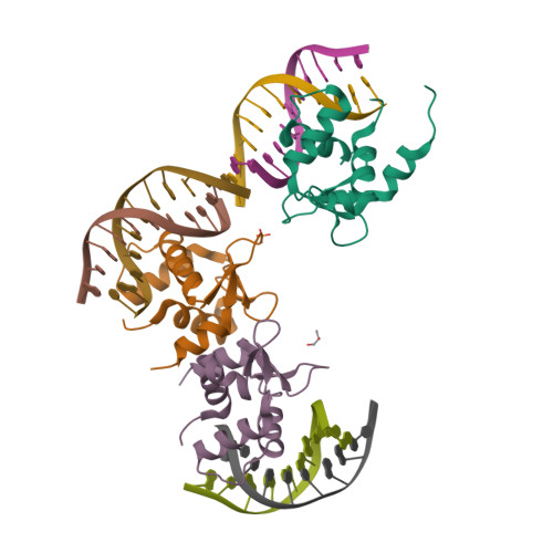 RCSB PDB - 5JVT: Crystal structure of the DNA binding domain of  transcription factor FLI1 in complex with an 11-mer DNA GACCGGAAGTG