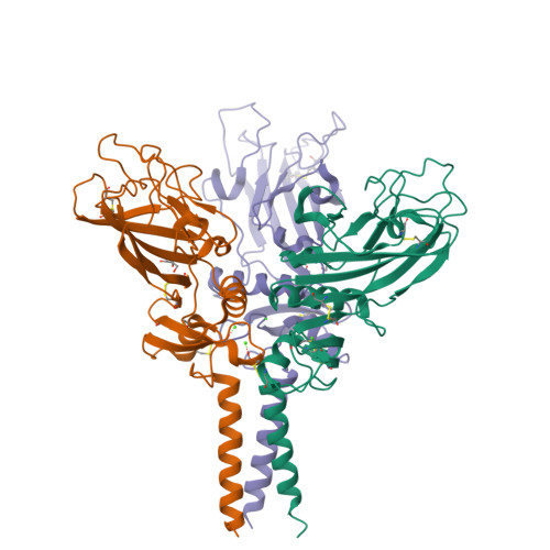 RCSB PDB - 5K31: Crystal structure of Human fibrillar procollagen type ...