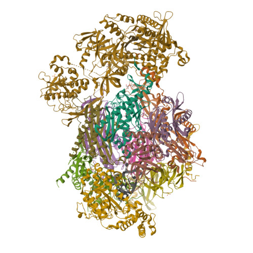 RCSB PDB - 5K36: Structure of an eleven component nuclear RNA exosome ...