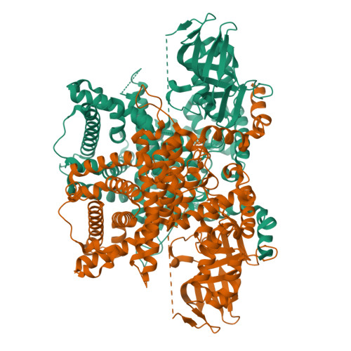 Rcsb Pdb 5k3h Crystals Structure Of Acyl Coa Oxidase 1 In