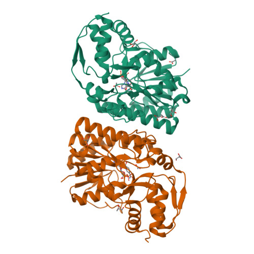 Rcsb Pdb K U Three Dimensional Structure Of L Threonine