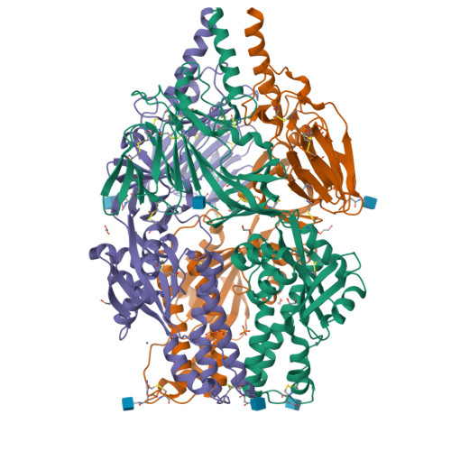 今季ブランド Crystal 5K6I: - PDB RCSB structure prefusion-stabilized of 語学・辞書・学習参考書