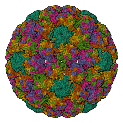 RCSB PDB 5KEQ High Resolution Cryo EM Maps Of Human Papillomavirus