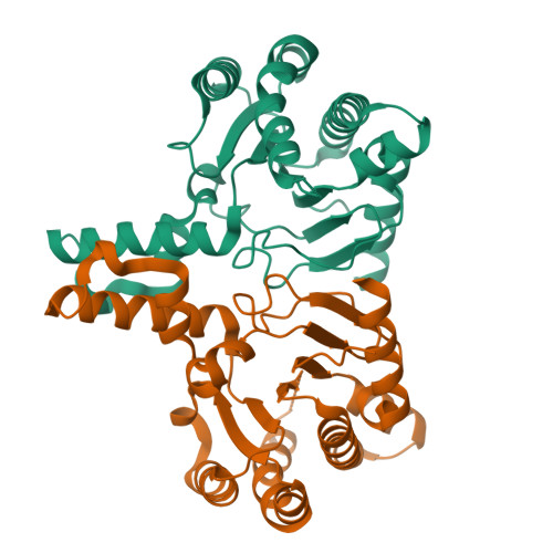 Isoprenyl transferase structure