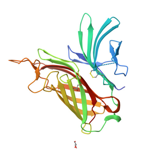 Rationally designed minimized TbpB confers broad protection against meningococcal infection.