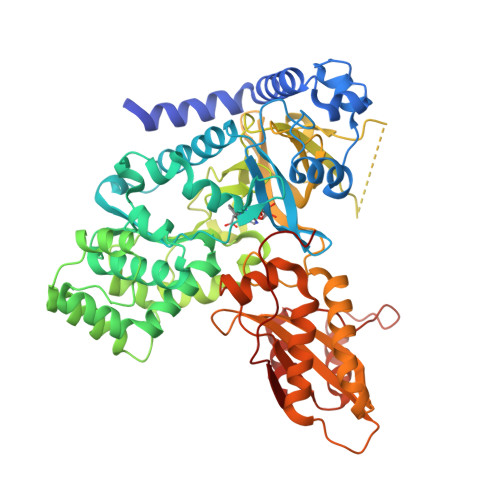 RCSB PDB - 5KOD: Crystal Structure of GH3.5 Acyl Acid Amido Synthetase ...