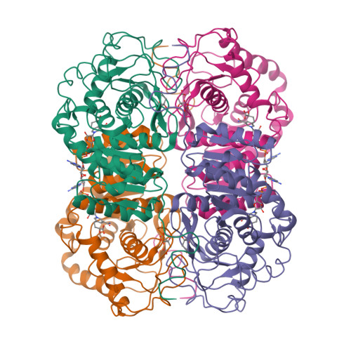 RCSB PDB 5LDH STRUCTURE OF THE ACTIVE TERNARY COMPLEX OF PIG HEART